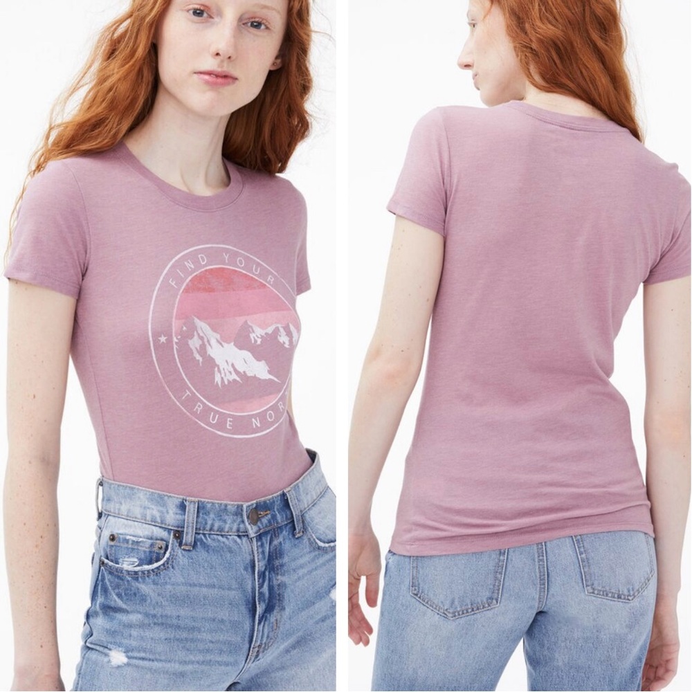 NWT Aeropostale Free State True North Mountain Graphic Tee